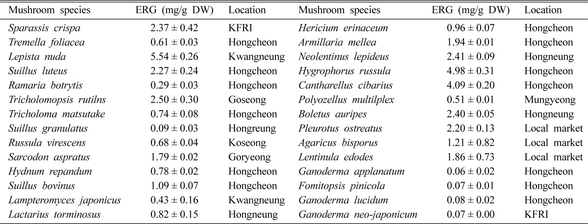Lions Mane Lions Mane