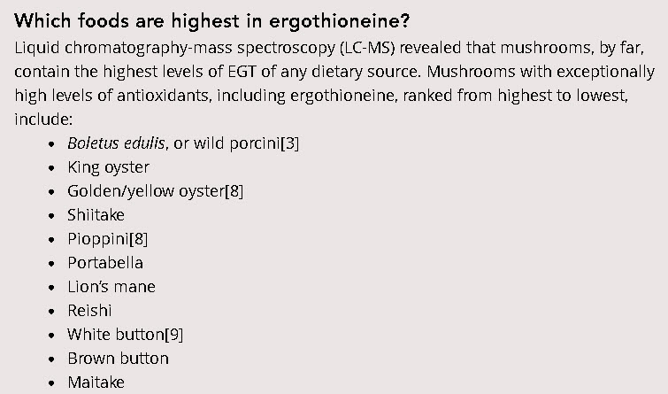 Lions Mane Lions Mane